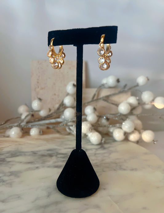 Darcy Hoops