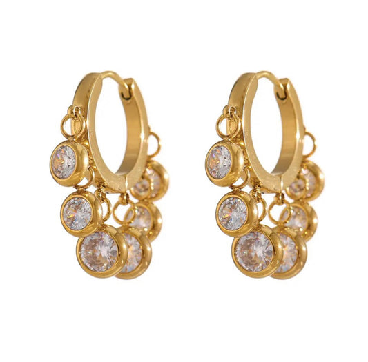 Darcy Hoops