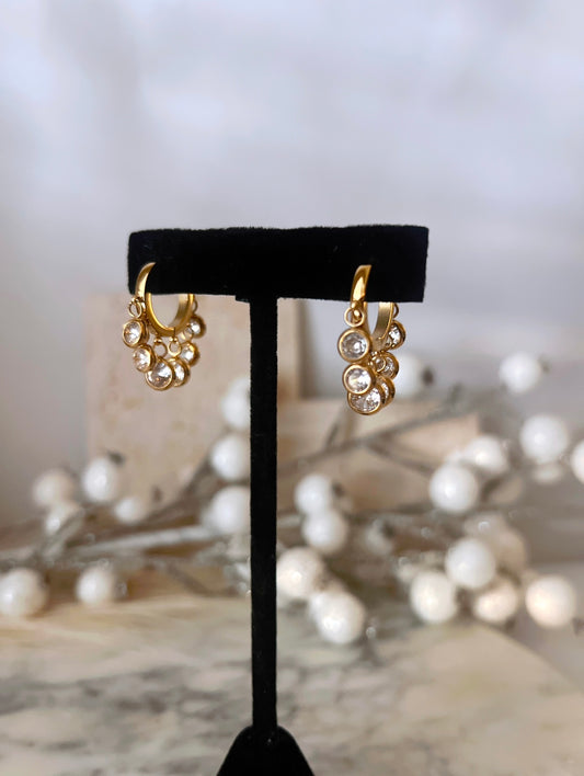 Darcy Hoops